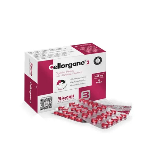 Cellorgane 2/Digestivo