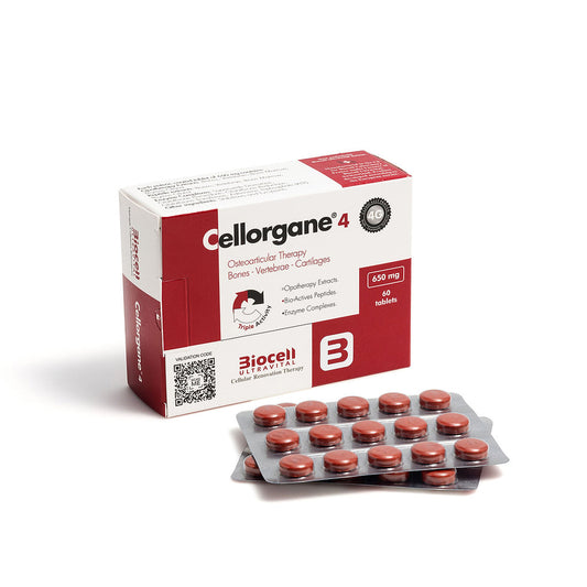 Cellorgane 4/Osteo-Articular
