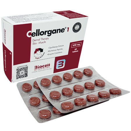 Cellorgane 1/Dermal