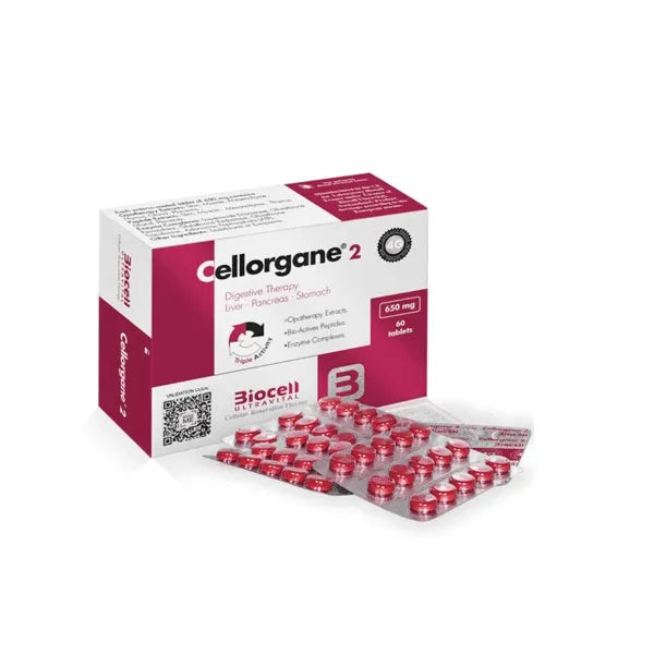 Cellorgane 2/Digestivo