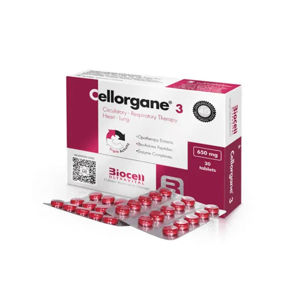 Cellorgane 3 Circulatorio/Respiratorio