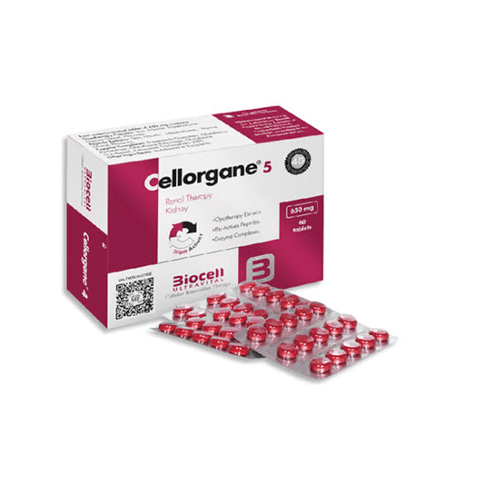 Cellorgane 5/Renal
