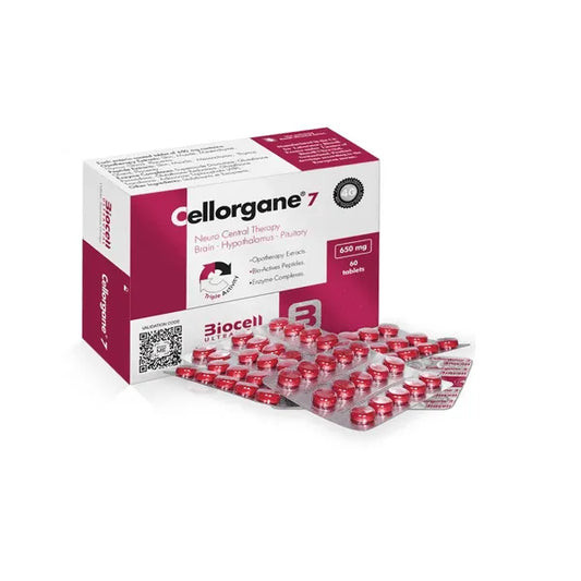 Cellorgane 7/Nervioso-Central
